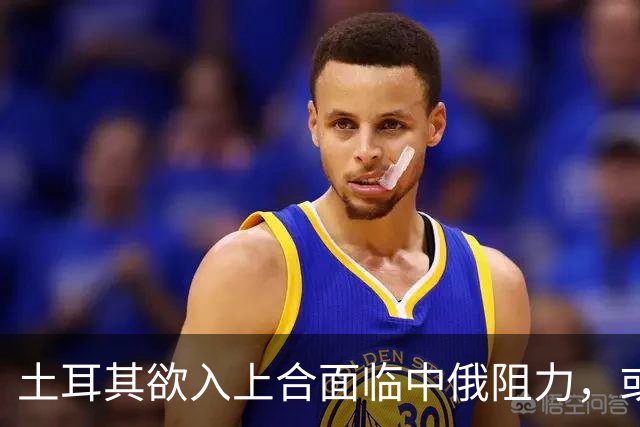 土耳其欲入上合面临中俄阻力，或再引发内部争斗